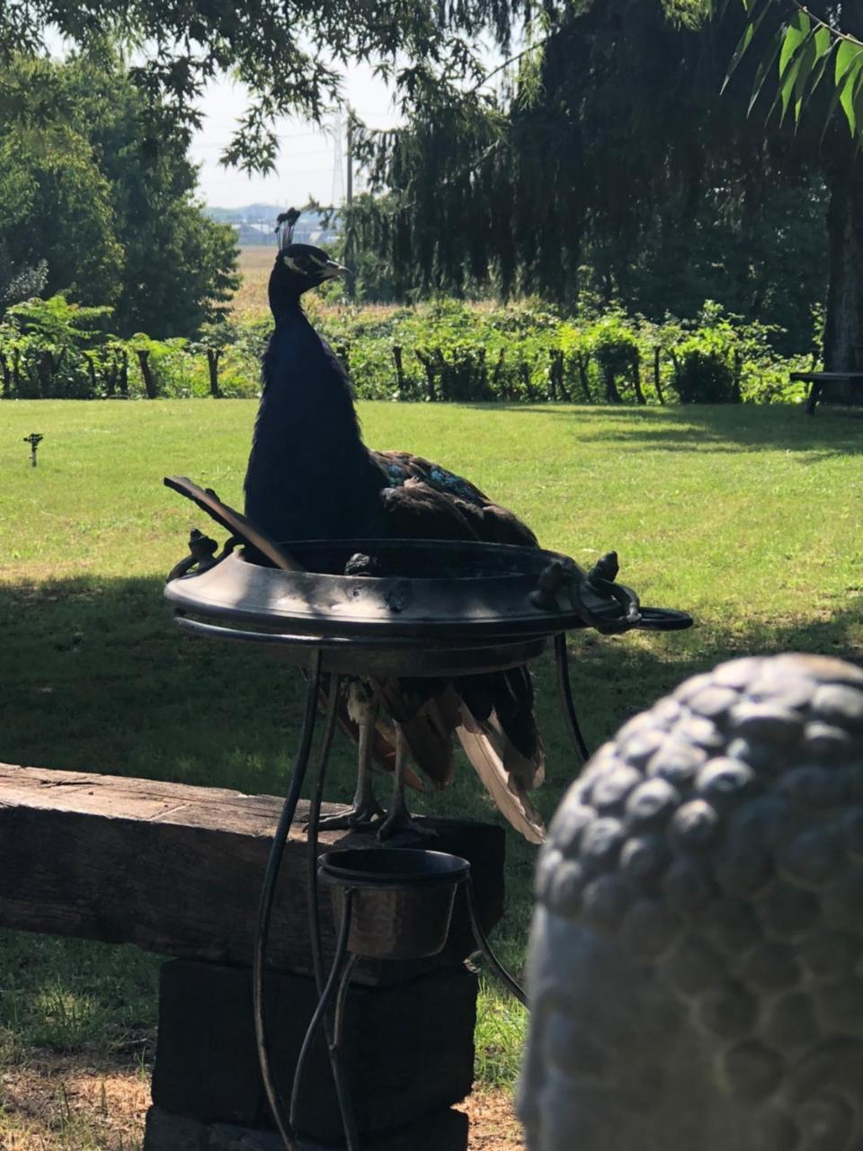 "Ai 4 Soli" Cermenate エクステリア 写真